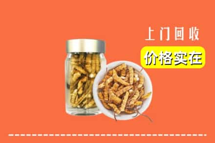 收购资讯:奎屯市回收散虫草